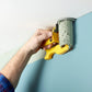 Pro Clean Cut Paint Edger
